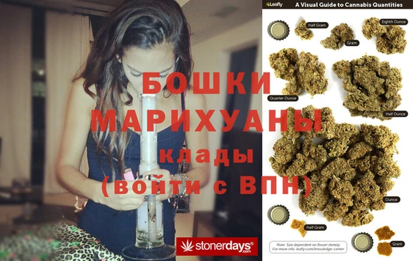 сатива Надым