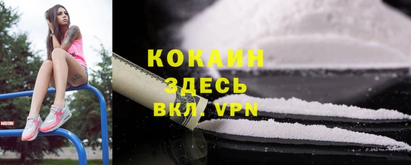 прущие крисы Белая Холуница
