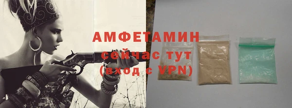 сатива Надым