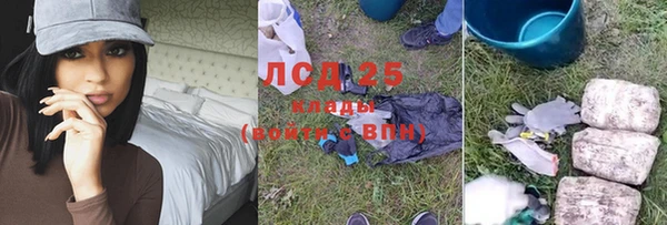 сатива Надым