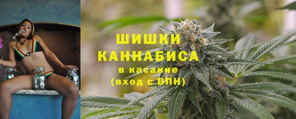 сатива Надым