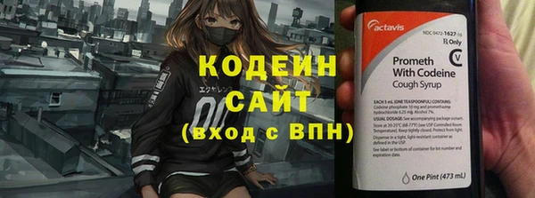 сатива Надым