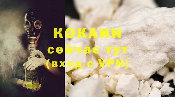 сатива Надым