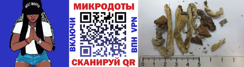 Галлюциногенные грибы мухоморы  Поворино 