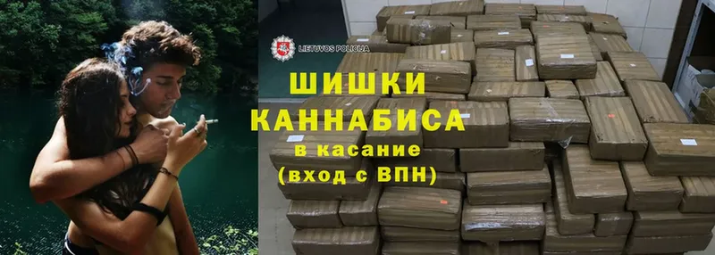 наркотики  Поворино  hydra ССЫЛКА  Каннабис конопля 